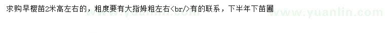 求購(gòu)高2米左右早櫻
