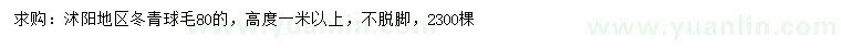 求購80公分冬青球
