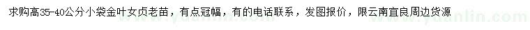 求購高35-40公分金葉女貞