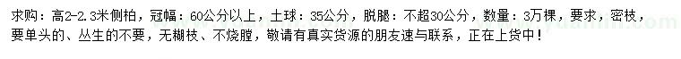 求購高2-2.3米側柏 