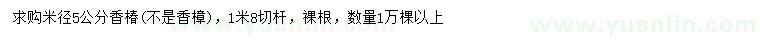 求購(gòu)米徑5公分香椿