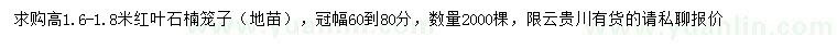 求購(gòu)高1.6-1.8米紅葉石楠籠子