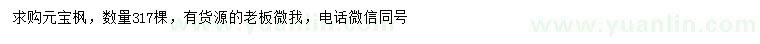 求購元寶楓