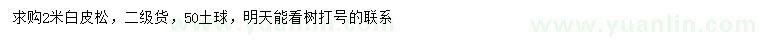 求購2米白皮松