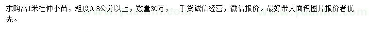 求購高1米杜仲
