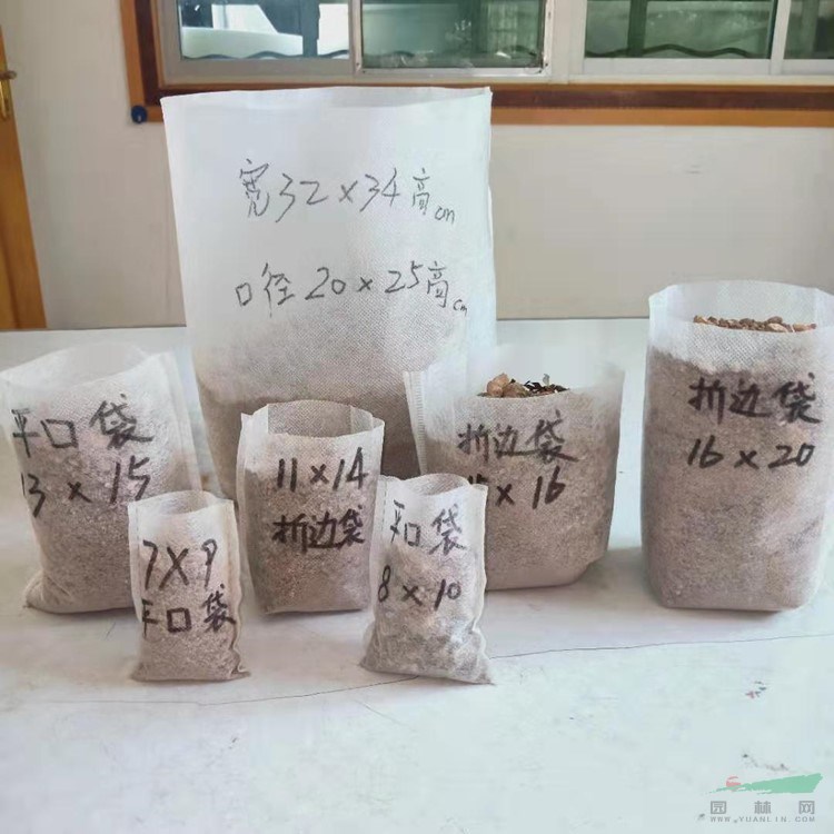 工厂价直销无纺布育苗营养袋透气自吸水成活率高
