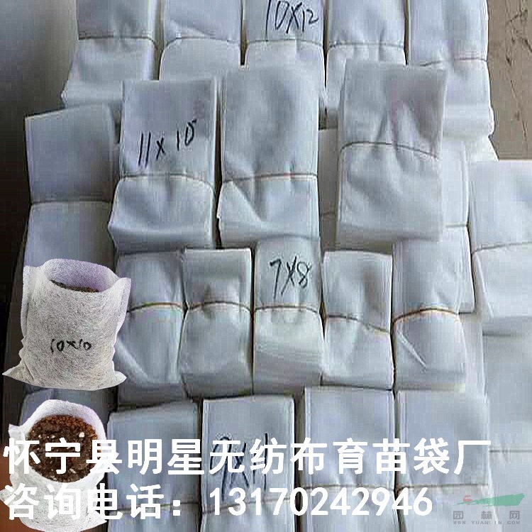 工厂价直销无纺布育苗营养袋透气自吸水成活率高