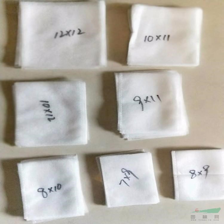 工厂价直销无纺布育苗营养袋透气自吸水成活率高