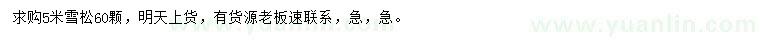 求購(gòu)5米雪松