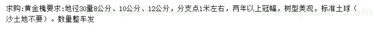 求購(gòu)30量8、10、12公分黃金槐