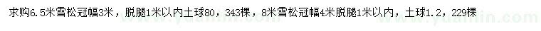 求購6.5、8米雪松