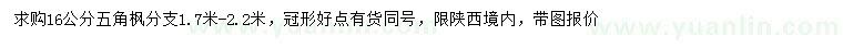 求購16公分五角楓