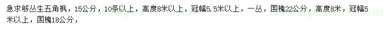 求購(gòu)15公分叢生五角楓、18、22公分國(guó)槐