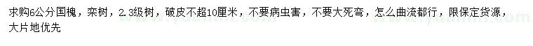 求購6公分國槐、欒樹