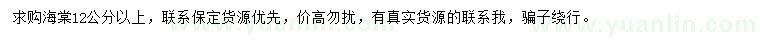 求購12公分以上海棠