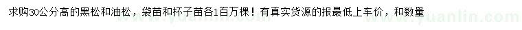 求購高30公分的黑松、油松