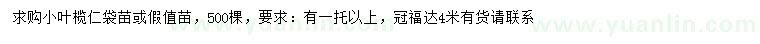 求購冠幅4米小葉欖仁