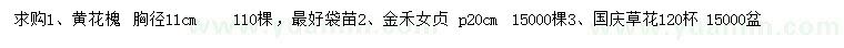 求購黃花槐、金禾女貞、國慶草花