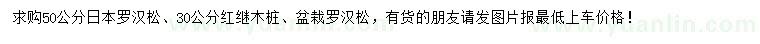 求購日本羅漢松、紅繼木樁、盆栽羅漢松		