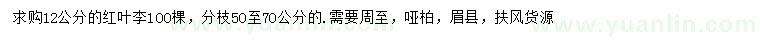 求購12公分紅葉李