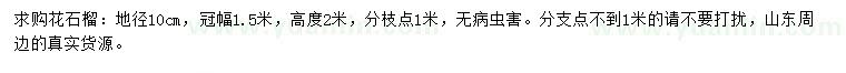 求購地徑10公分花石榴