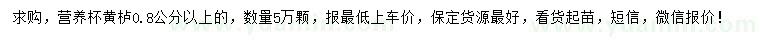 求購(gòu)0.8公分以上黃櫨