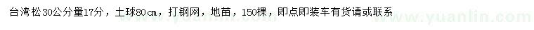 求購(gòu)17公分臺(tái)灣松