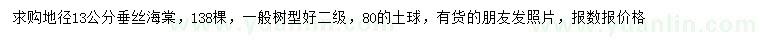 求購(gòu)地徑13公分垂絲海棠