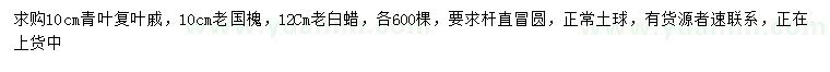 求購(gòu)青葉復(fù)葉槭、老國(guó)槐、老白蠟