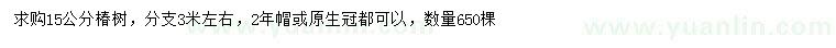 求購15公分椿樹