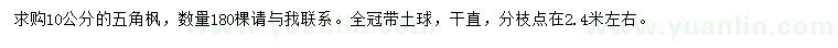 求購(gòu)10公分五角楓