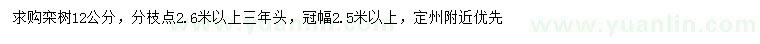 求購12公分欒樹
