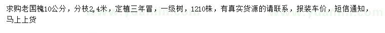 求購10公分老國槐