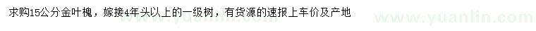 求購15公分金葉槐