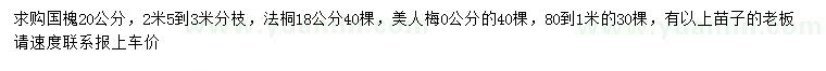 求購(gòu)國(guó)槐、法桐、美人梅
