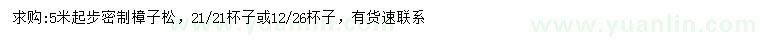 求購(gòu)5米以上樟子松