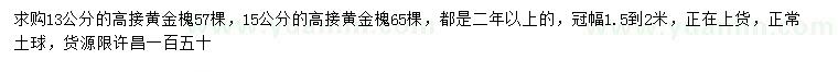 求購13、15公分高接黃金槐