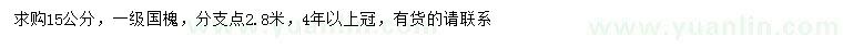 求購(gòu)15公分國(guó)槐