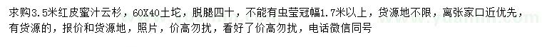 求購(gòu)3.5米紅皮蜜汁云杉