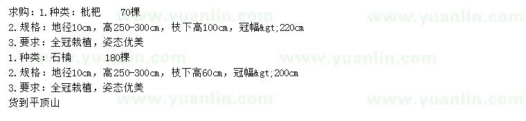 求購(gòu)地徑10公分批把樹(shù)、石楠