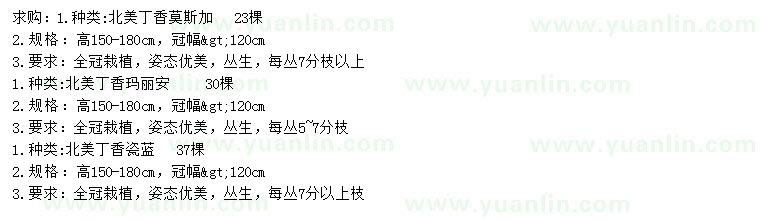 求購北美丁香莫斯加、北美丁香瑪麗安、北美丁香瓷藍(lán)
