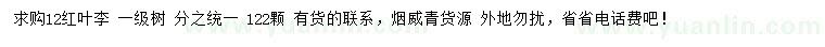 求購12公分紅葉李
