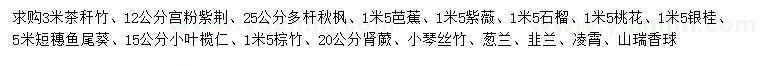 求購(gòu)茶稈竹、宮粉紫荊、多桿秋楓等