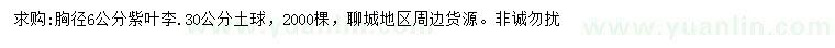 求購胸徑6公分紫葉李