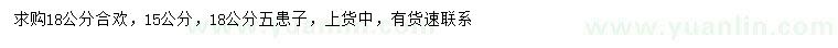 求購18公分合歡、15、18公分無患子