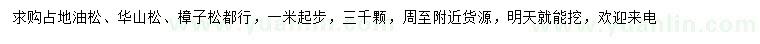 求購油松、華山松、樟子松