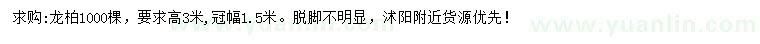 求購高3米龍柏