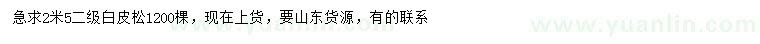 求購2.5米白皮松