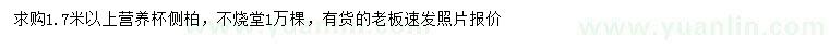 求購1.7米以上側(cè)柏