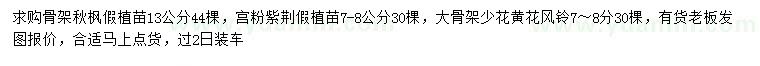 求購秋楓、宮粉紫荊、少花黃花風(fēng)鈴木
